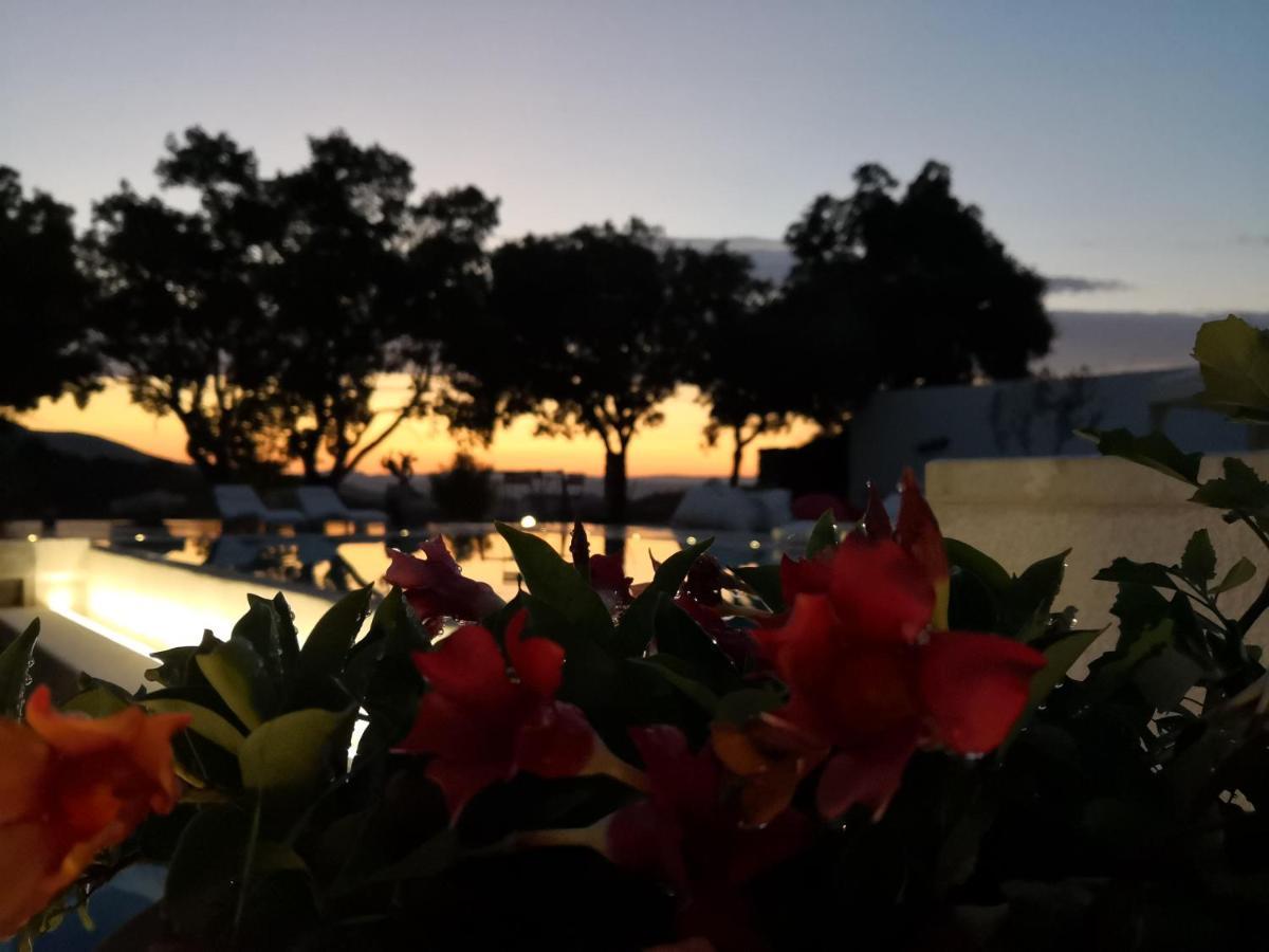 Villa Maria Dorgali Dış mekan fotoğraf