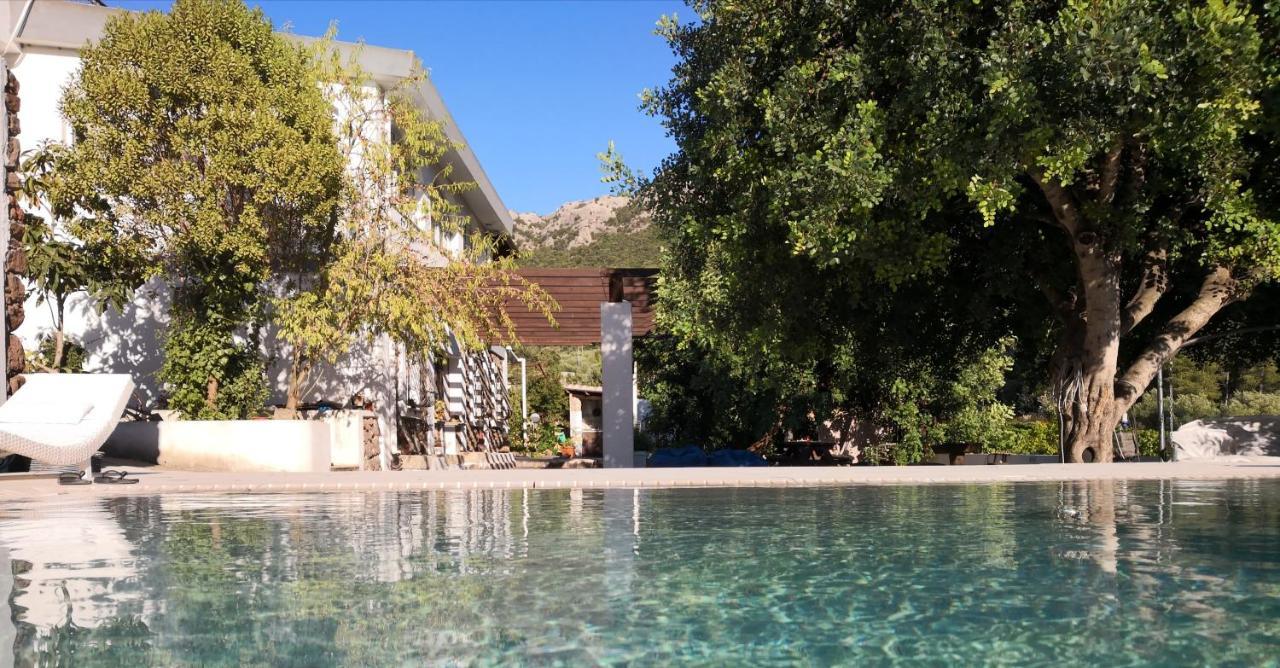 Villa Maria Dorgali Dış mekan fotoğraf