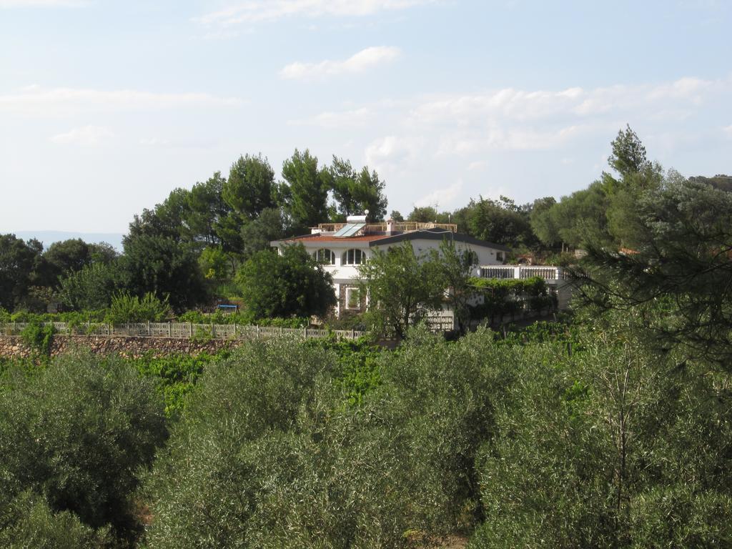 Villa Maria Dorgali Oda fotoğraf