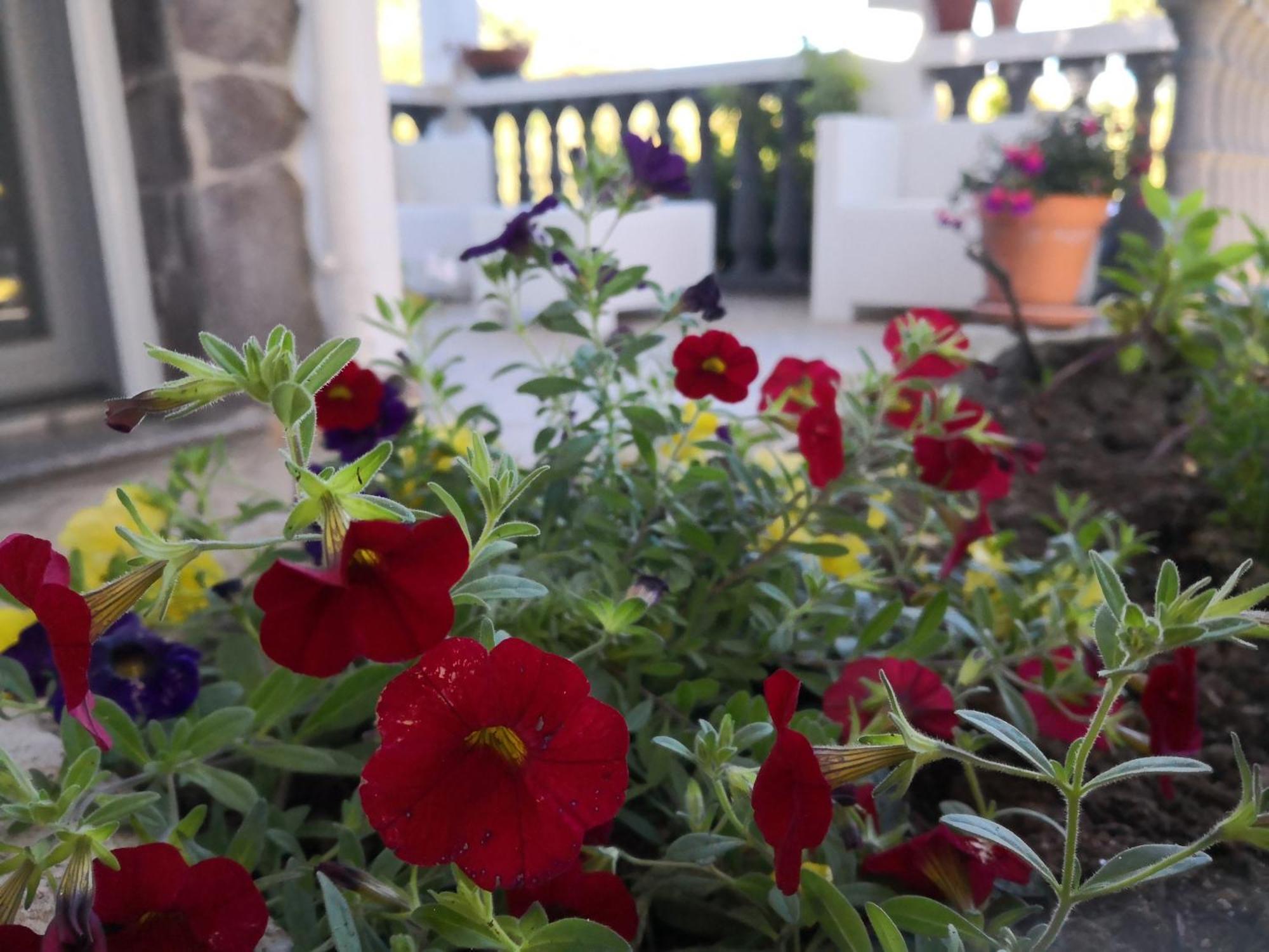 Villa Maria Dorgali Dış mekan fotoğraf