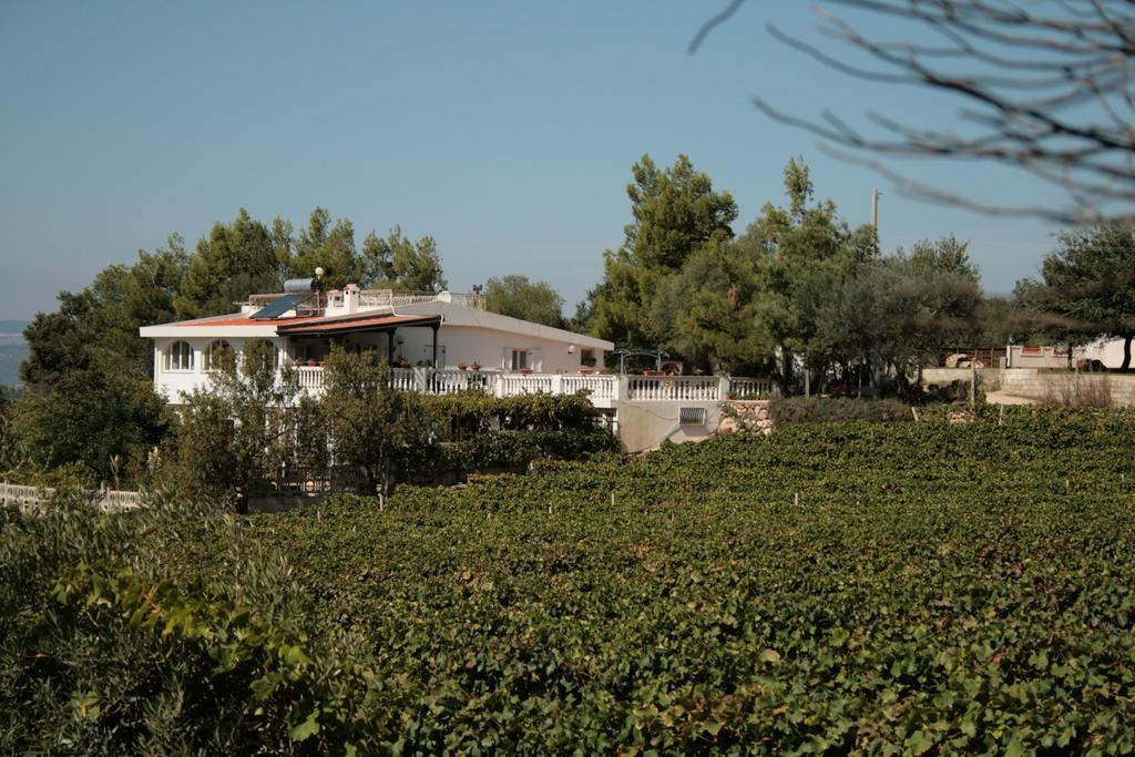Villa Maria Dorgali Dış mekan fotoğraf