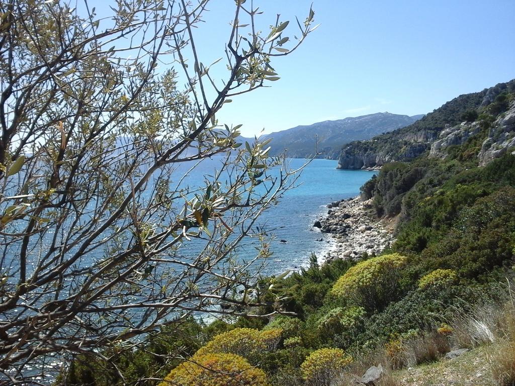 Villa Maria Dorgali Dış mekan fotoğraf