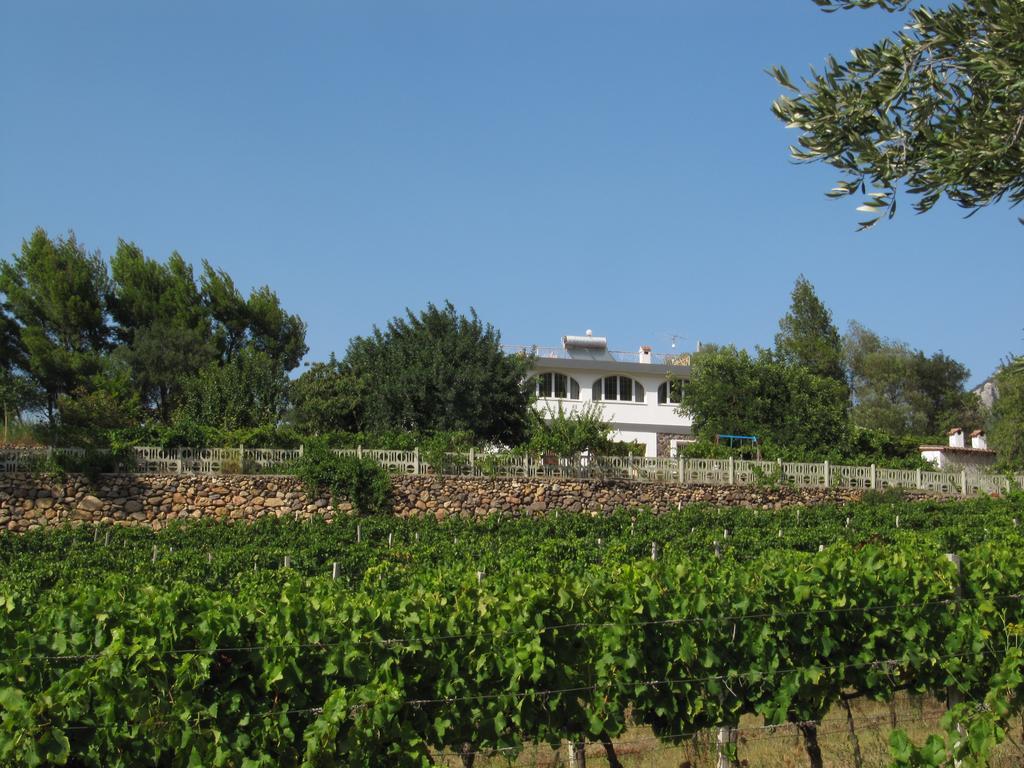 Villa Maria Dorgali Dış mekan fotoğraf